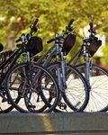 Biciclette parcheggiate in fila su un supporto, sfondo di alberi verdi.