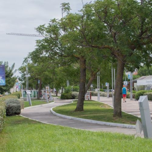 Viale alberato con percorso pedonale, panchine e cartelloni informativi.